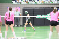 7 - Schaff