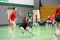 1 - Erickson