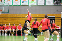 18 - Kirsch