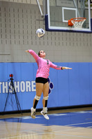 5 - Hickman