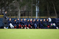 Team
